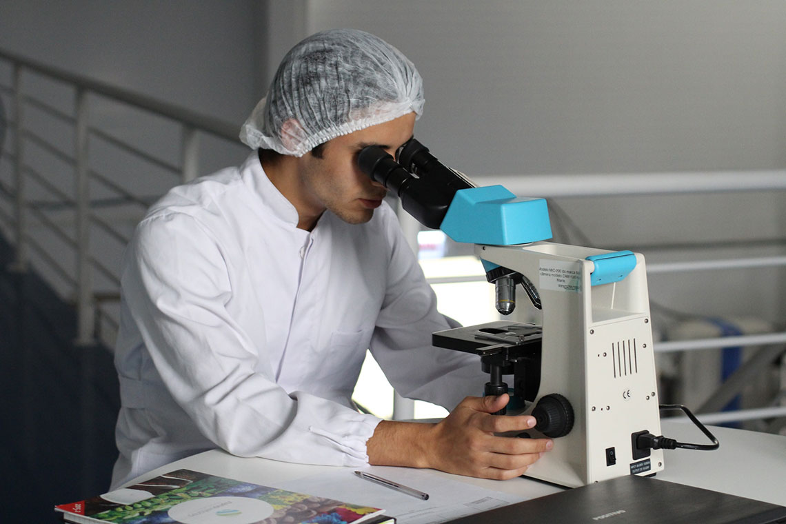 A health care professional in a white shirt and hairnet studies a medical sample in a microscope